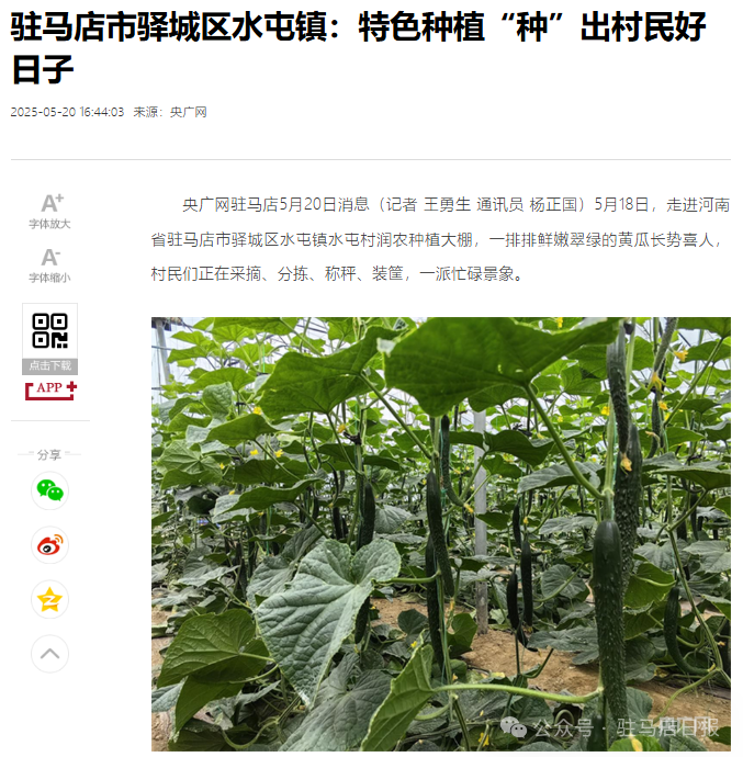 驛城區被央媒連續報道！