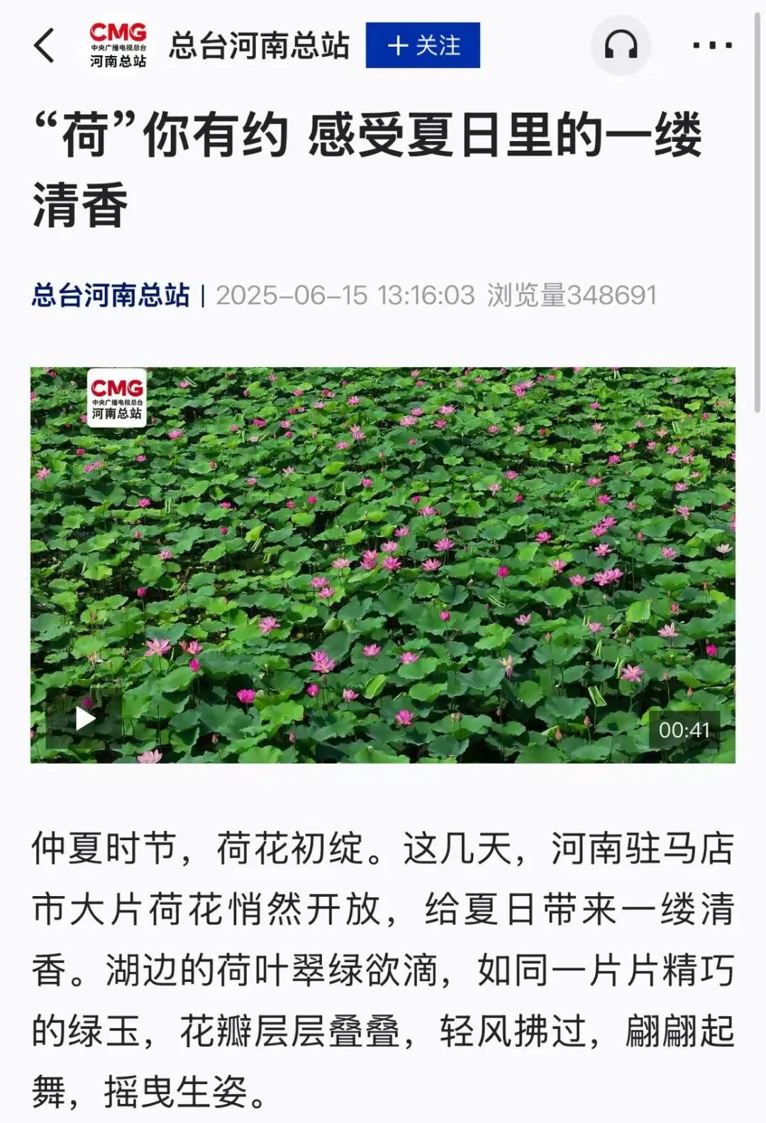 央媒点赞！驻马店荷花美出圈
