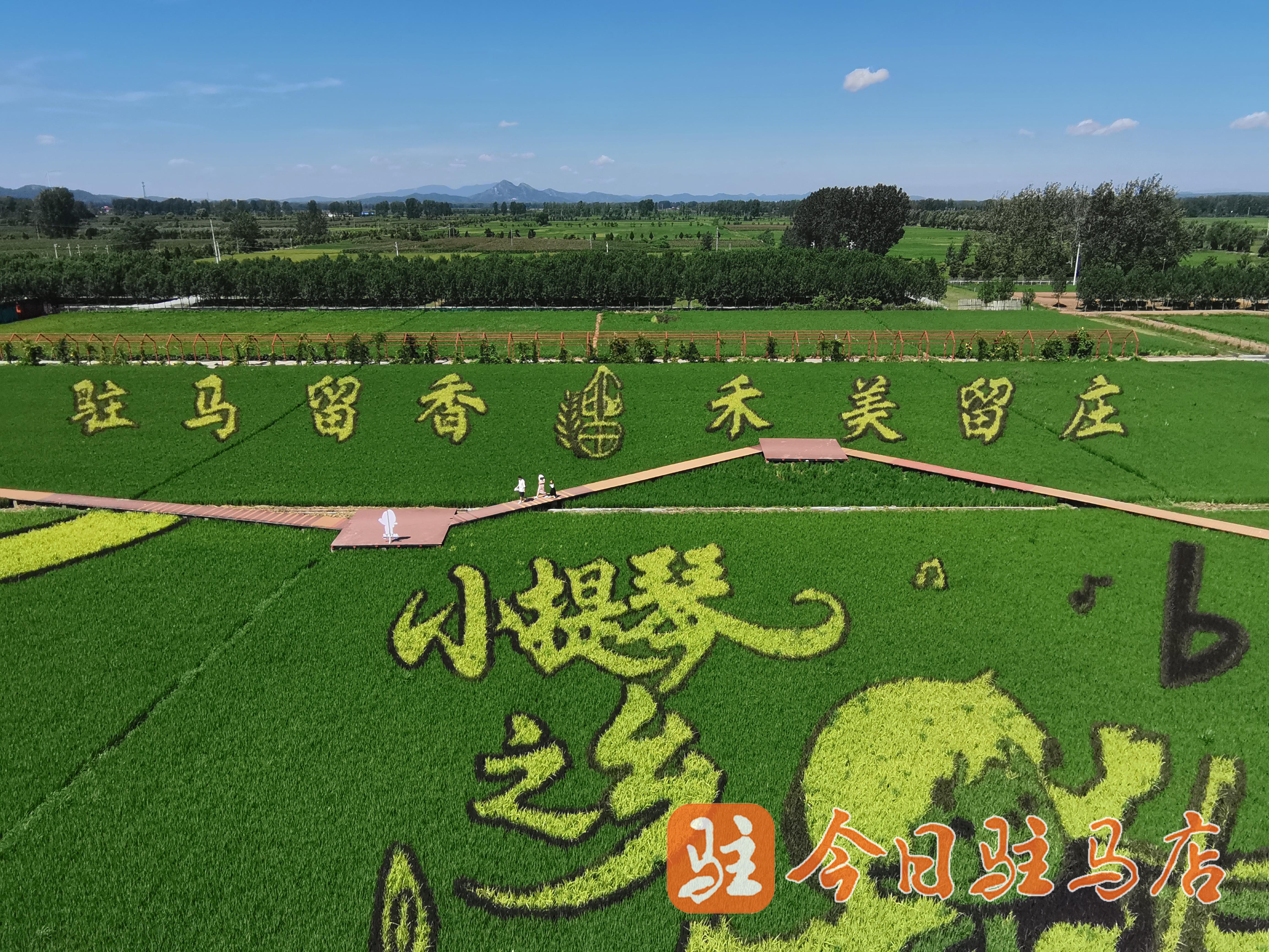 确山县：获批两个市级宜居宜业和美乡村建设先导区