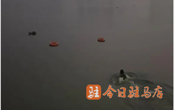 冰河救人!驻马店这四名老师,好样的!