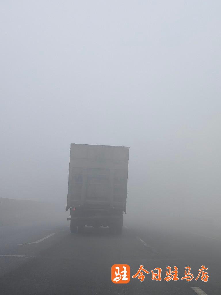 注意！大雾致驻马店全辖区高速临时封闭！