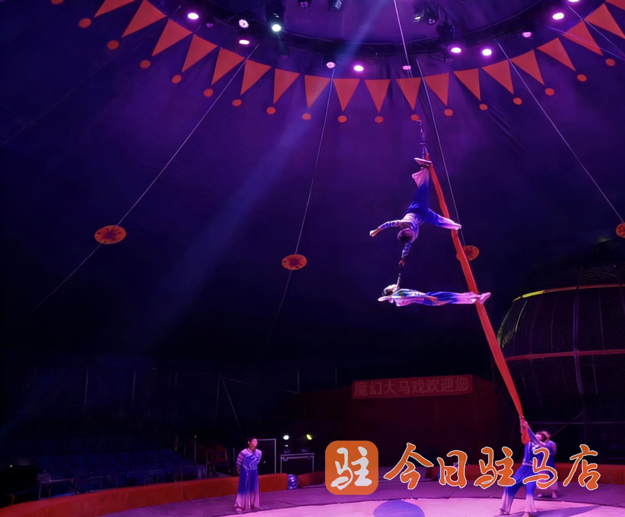 恐龙归来 大马戏重磅加盟2026驻马店第三届消博会 解锁马戏狂欢新体验