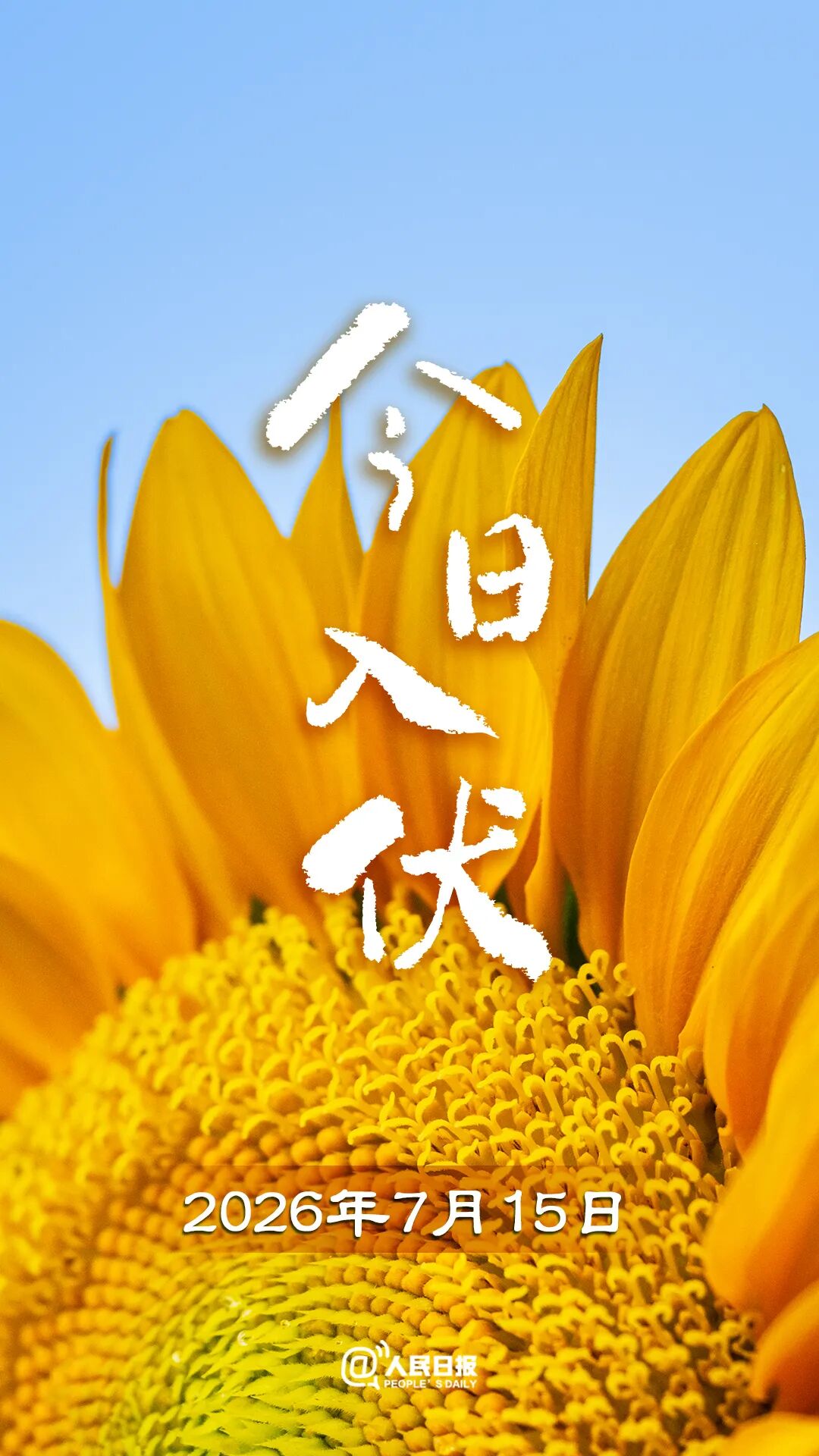今天，入伏（有40天）