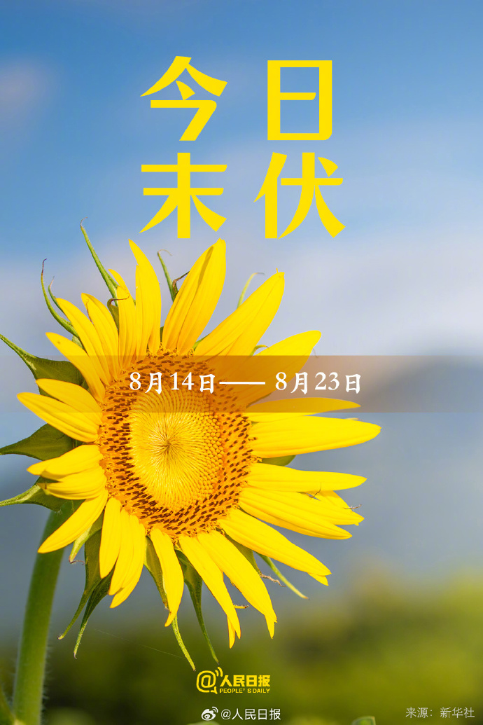今日末伏，“加长版”三伏天正式进入尾声