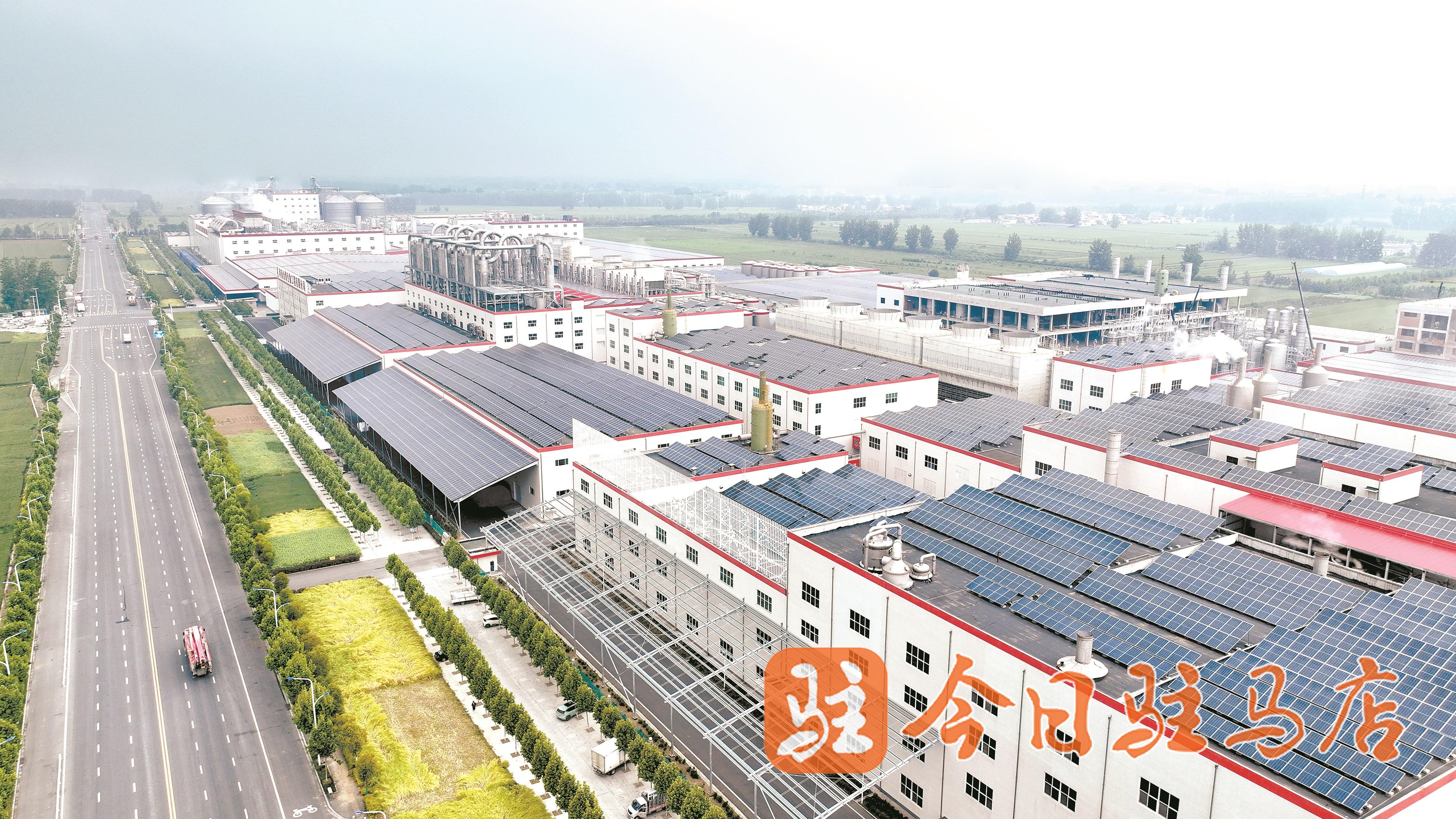 驻马店农产品加工业链式裂变观察