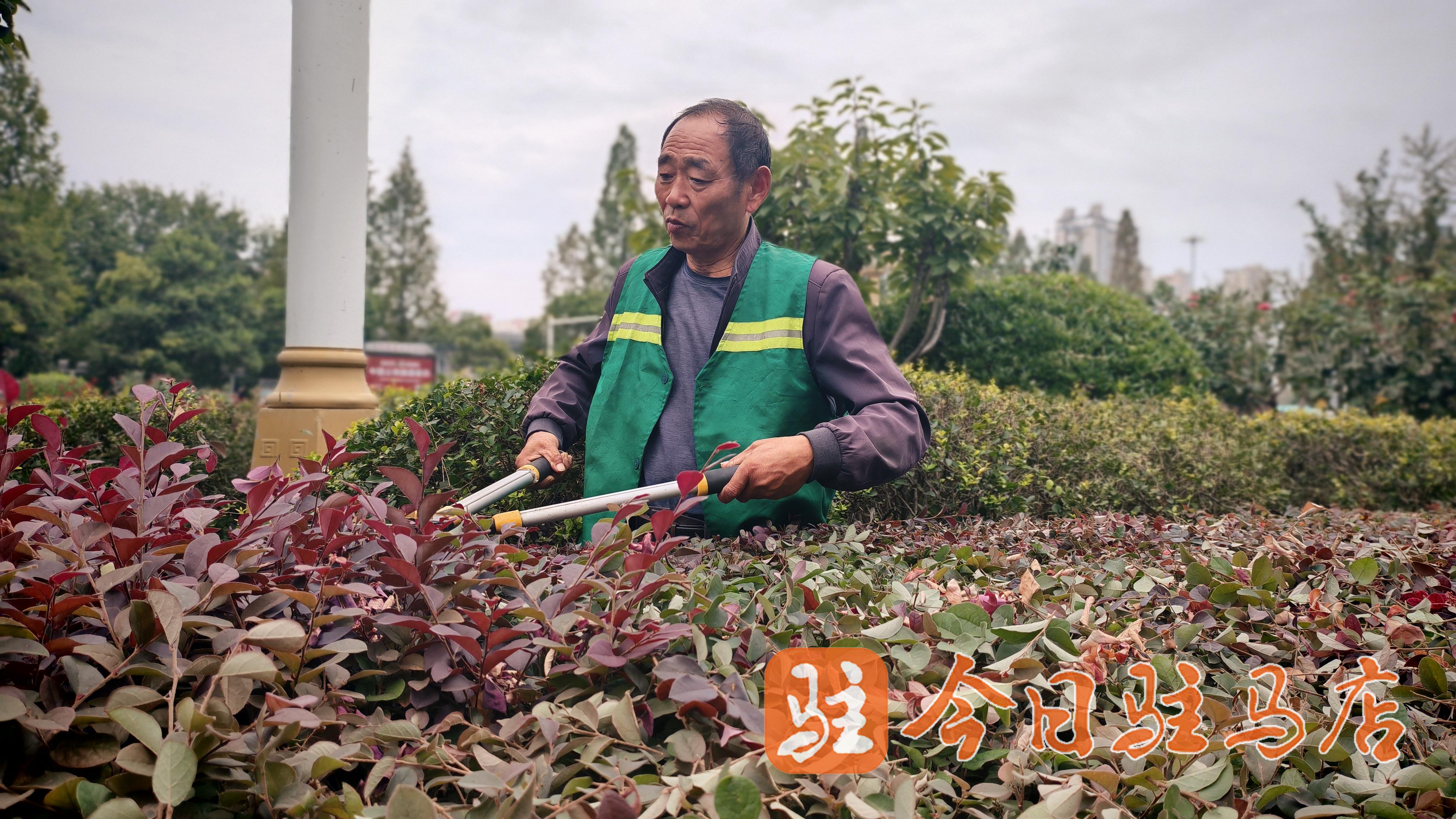 扮靓城市迎盛会